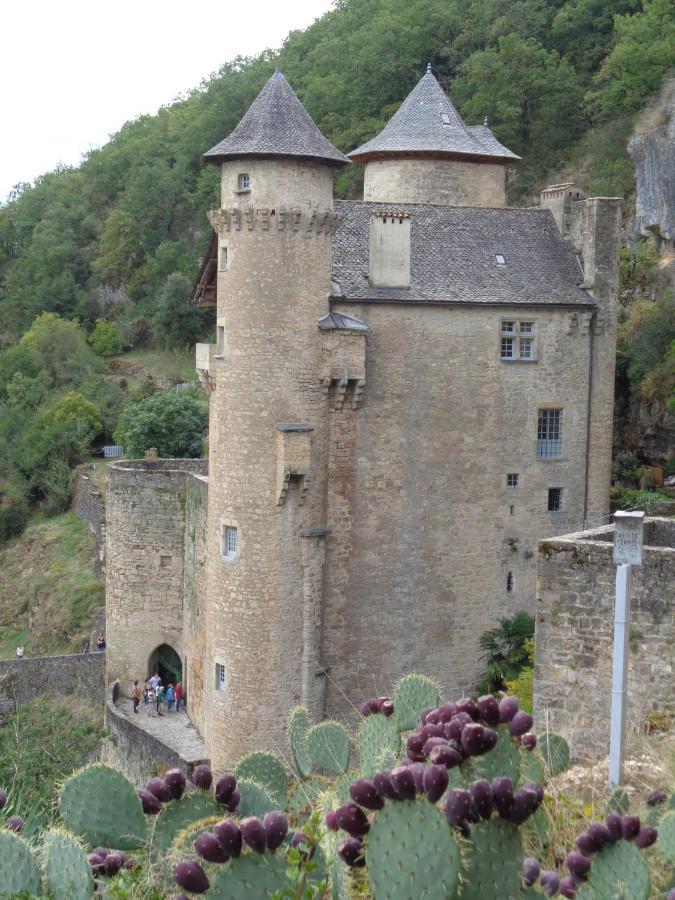 Appartamento Les Dessous De La Grange Larroque-Toirac Esterno foto